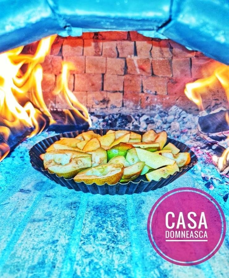 Casa Domneasca Baia de Fier Exterior foto
