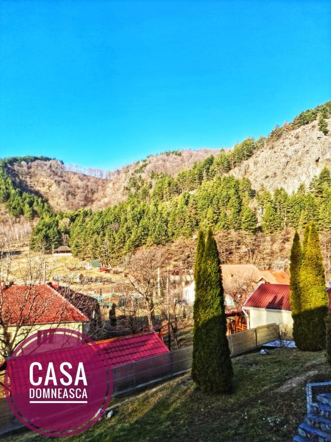 Casa Domneasca Baia de Fier Exterior foto