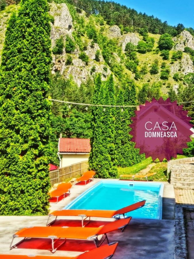 Casa Domneasca Baia de Fier Exterior foto